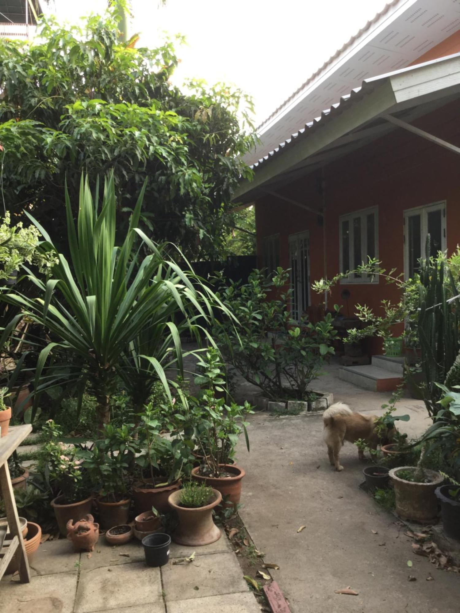 Baan Songjum Hotel Chiang Mai Exterior photo